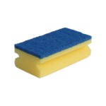 Zmywak profesjonalny ogólnego stosowania, opak. 10 szt. SRH004